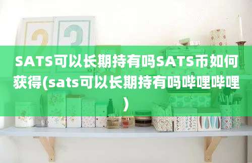 SATS可以长期持有吗SATS币如何获得(sats可以长期持有吗哔哩哔哩)