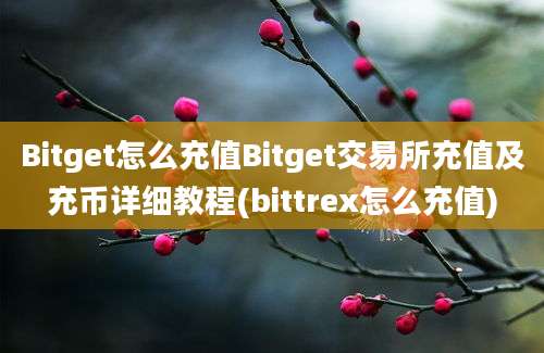 Bitget怎么充值Bitget交易所充值及充币详细教程(bittrex怎么充值)