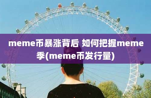 meme币暴涨背后 如何把握meme季(meme币发行量)