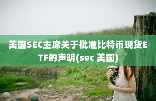 美国SEC主席关于批准比特币现货ETF的声明(sec 美国)