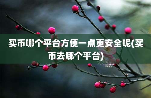 买币哪个平台方便一点更安全呢(买币去哪个平台)