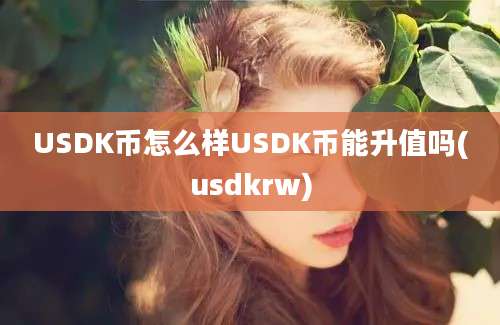 USDK币怎么样USDK币能升值吗(usdkrw)