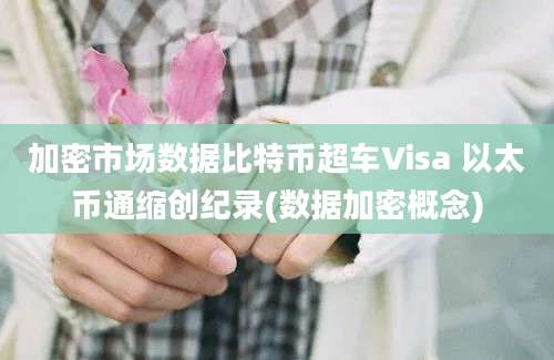 加密市场数据比特币超车Visa 以太币通缩创纪录(数据加密概念)