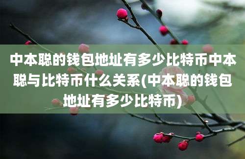 中本聪的钱包地址有多少比特币中本聪与比特币什么关系(中本聪的钱包地址有多少比特币)