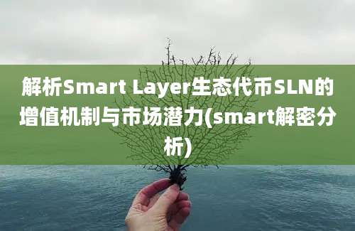 解析Smart Layer生态代币SLN的增值机制与市场潜力(smart解密分析)