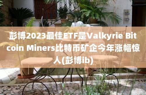 彭博2023最佳ETF是Valkyrie Bitcoin Miners比特币矿企今年涨幅惊人(彭博ib)