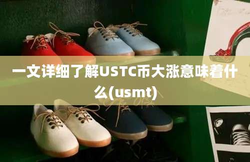 一文详细了解USTC币大涨意味着什么(usmt)