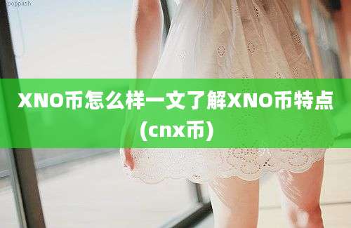 XNO币怎么样一文了解XNO币特点(cnx币)