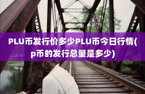 PLU币发行价多少PLU币今日行情(p币的发行总量是多少)