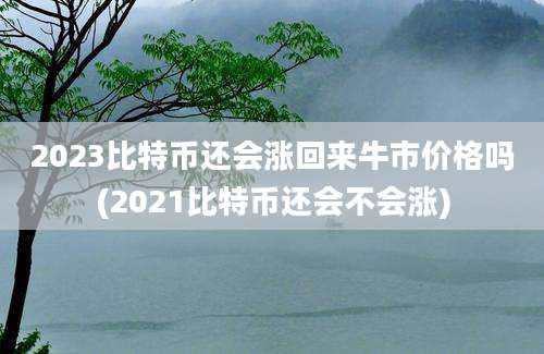 2023比特币还会涨回来牛市价格吗(2021比特币还会不会涨)