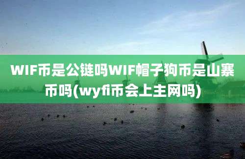 WIF币是公链吗WIF帽子狗币是山寨币吗(wyfi币会上主网吗)