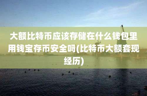 大额比特币应该存储在什么钱包里用钱宝存币安全吗(比特币大额套现经历)