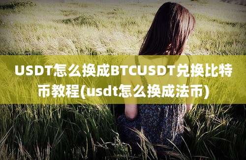 USDT怎么换成BTCUSDT兑换比特币教程(usdt怎么换成法币)