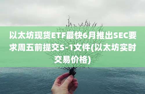 以太坊现货ETF最快6月推出SEC要求周五前提交S-1文件(以太坊实时交易价格)