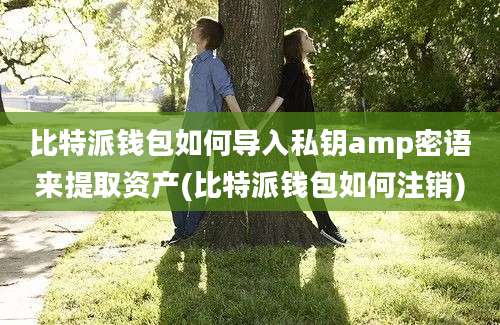 比特派钱包如何导入私钥amp密语来提取资产(比特派钱包如何注销)