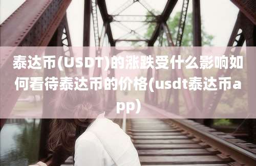 泰达币(USDT)的涨跌受什么影响如何看待泰达币的价格(usdt泰达币app)