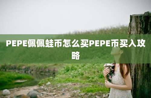 PEPE佩佩蛙币怎么买PEPE币买入攻略