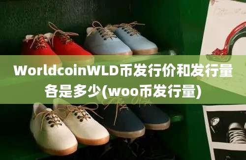 WorldcoinWLD币发行价和发行量各是多少(woo币发行量)