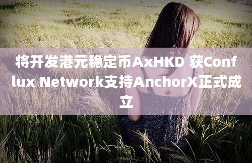 将开发港元稳定币AxHKD 获Conflux Network支持AnchorX正式成立