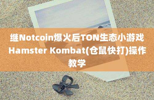 继Notcoin爆火后TON生态小游戏Hamster Kombat(仓鼠快打)操作教学