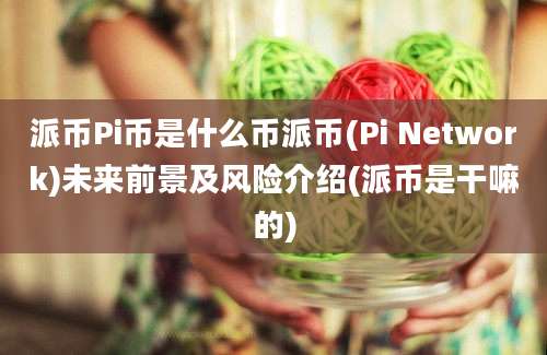 派币Pi币是什么币派币(Pi Network)未来前景及风险介绍(派币是干嘛的)