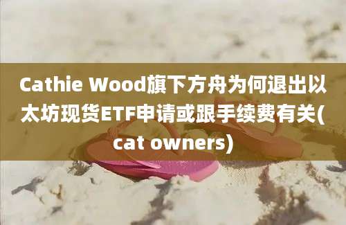 Cathie Wood旗下方舟为何退出以太坊现货ETF申请或跟手续费有关(cat owners)