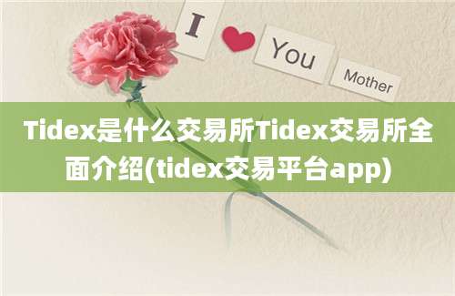 Tidex是什么交易所Tidex交易所全面介绍(tidex交易平台app)