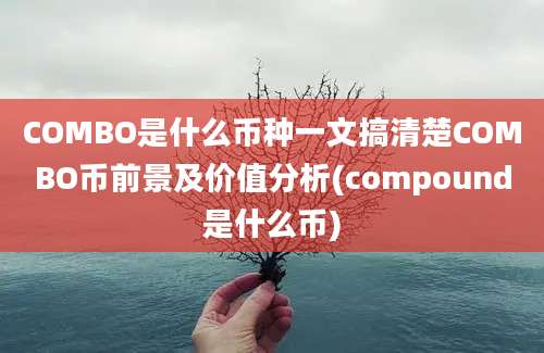 COMBO是什么币种一文搞清楚COMBO币前景及价值分析(compound是什么币)