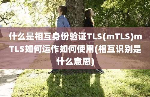 什么是相互身份验证TLS(mTLS)mTLS如何运作如何使用(相互识别是什么意思)