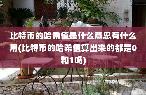 比特币的哈希值是什么意思有什么用(比特币的哈希值算出来的都是0和1吗)