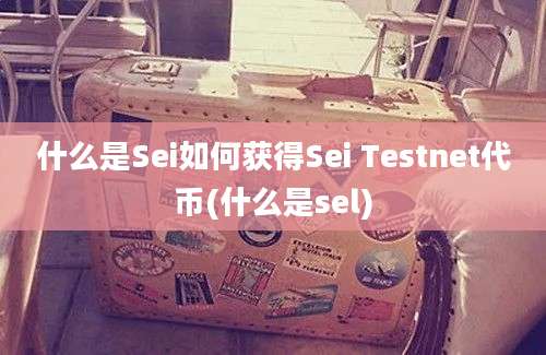 什么是Sei如何获得Sei Testnet代币(什么是sel)