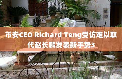 币安CEO Richard Teng受访难以取代赵长鹏发表新手势3