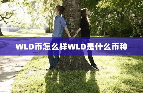 WLD币怎么样WLD是什么币种