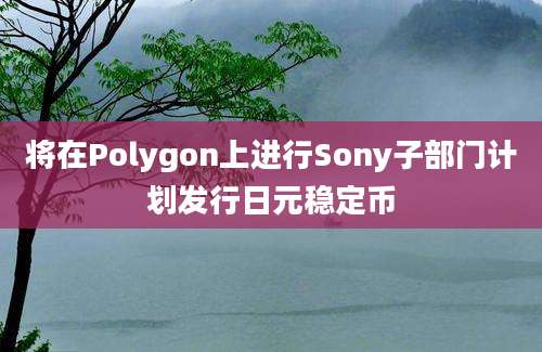 将在Polygon上进行Sony子部门计划发行日元稳定币