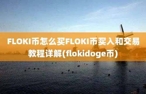 FLOKI币怎么买FLOKI币买入和交易教程详解(flokidoge币)