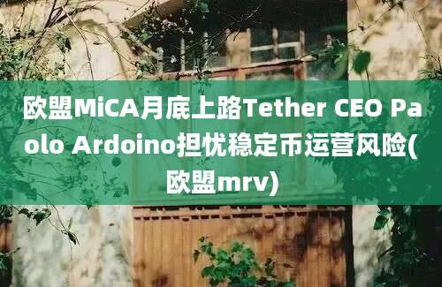 欧盟MiCA月底上路Tether CEO Paolo Ardoino担忧稳定币运营风险(欧盟mrv)