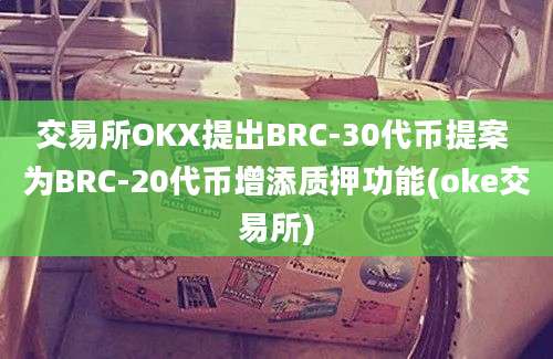 交易所OKX提出BRC-30代币提案 为BRC-20代币增添质押功能(oke交易所)