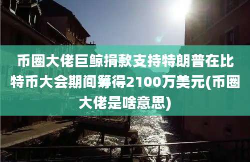 币圈大佬巨鲸捐款支持特朗普在比特币大会期间筹得2100万美元(币圈大佬是啥意思)