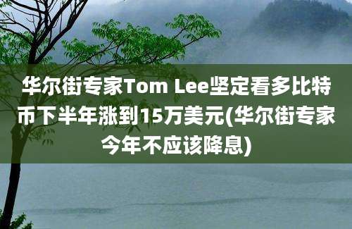 华尔街专家Tom Lee坚定看多比特币下半年涨到15万美元(华尔街专家今年不应该降息)