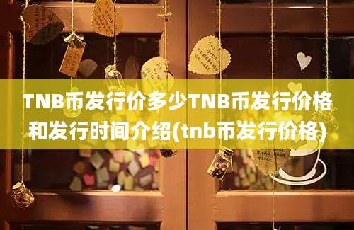 TNB币发行价多少TNB币发行价格和发行时间介绍(tnb币发行价格)