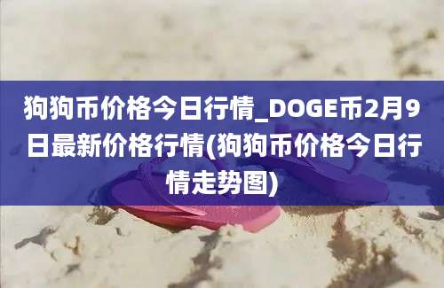 狗狗币价格今日行情_DOGE币2月9日最新价格行情(狗狗币价格今日行情走势图)