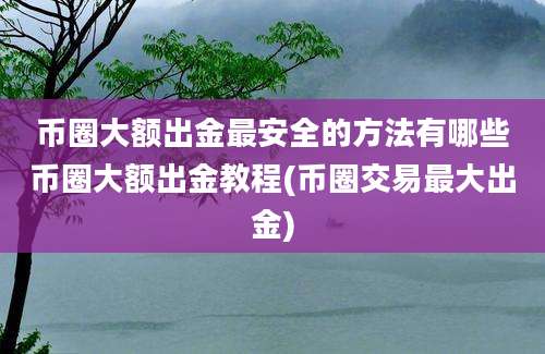 币圈大额出金最安全的方法有哪些币圈大额出金教程(币圈交易最大出金)