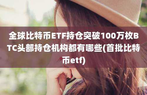 全球比特币ETF持仓突破100万枚BTC头部持仓机构都有哪些(首批比特币etf)