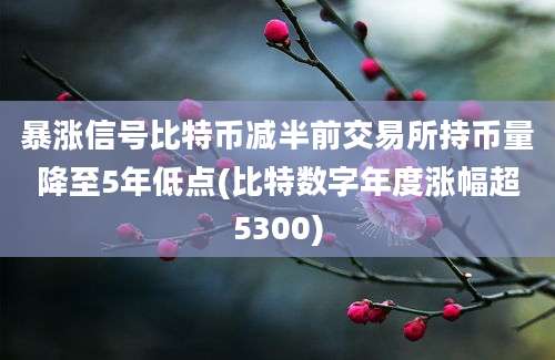 暴涨信号比特币减半前交易所持币量降至5年低点(比特数字年度涨幅超5300)