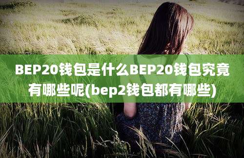 BEP20钱包是什么BEP20钱包究竟有哪些呢(bep2钱包都有哪些)