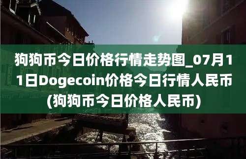 狗狗币今日价格行情走势图_07月11日Dogecoin价格今日行情人民币(狗狗币今日价格人民币)