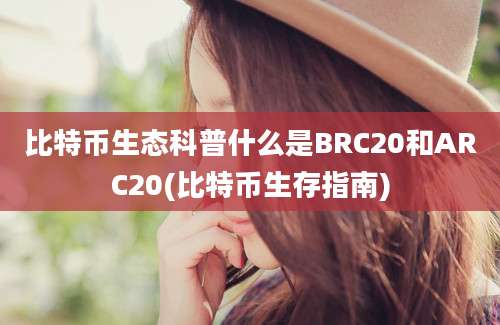 比特币生态科普什么是BRC20和ARC20(比特币生存指南)