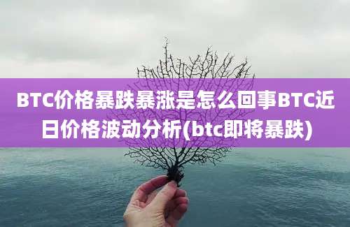 BTC价格暴跌暴涨是怎么回事BTC近日价格波动分析(btc即将暴跌)