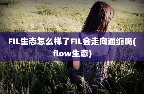 FIL生态怎么样了FIL会走向通缩吗(flow生态)