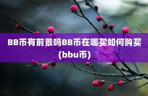 BB币有前景吗BB币在哪买如何购买(bbu币)